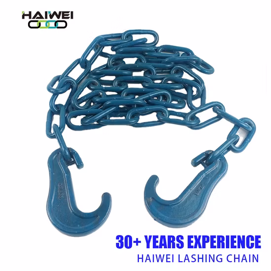 Lifting Chains with Hooks Alloy Steel Multi-Leg 2 3 4 Leg G80 G100 Lifting Chain Sling with Hook