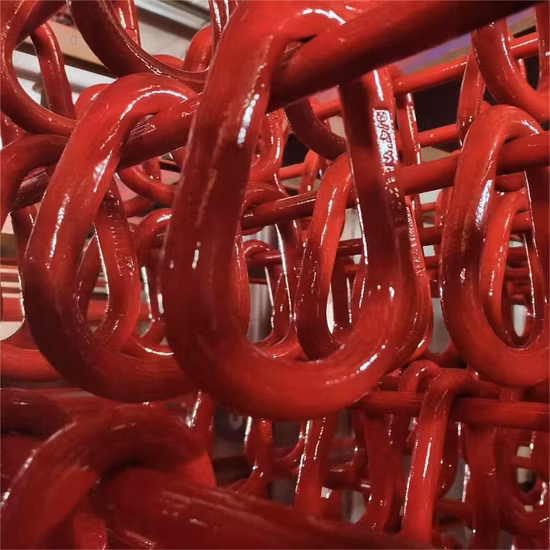 Anneau en D forgé en acier allié G80, manille, anneau de levage haute résistance, lien principal, anneau rond